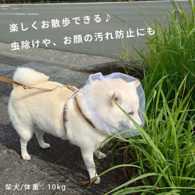 拾い食い防止カバー