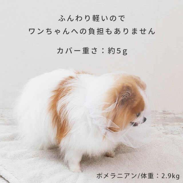 拾い食い防止カバー