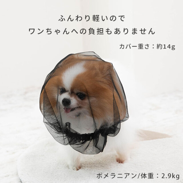 拾い食い防止カバー