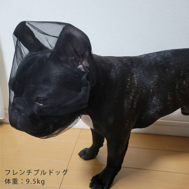 拾い食い防止カバー