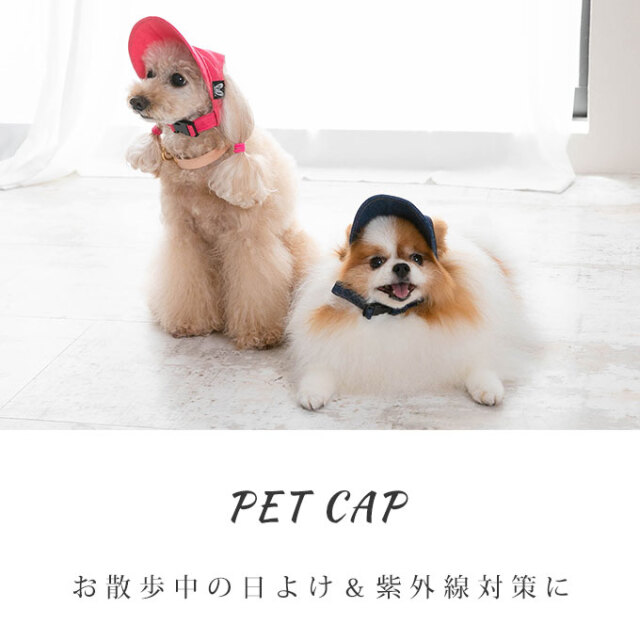 ペット用 帽子