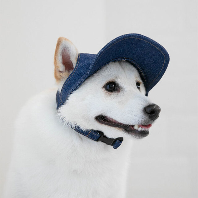ペット用 帽子