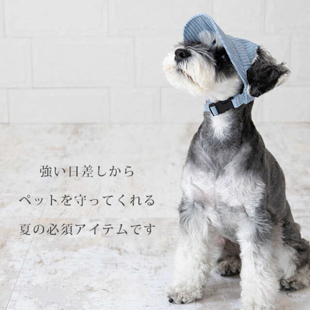 ペット用 帽子