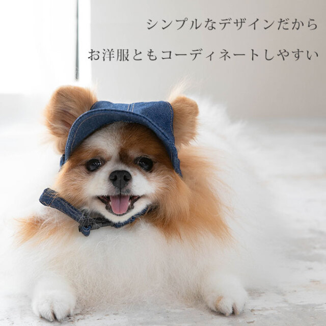 ペット用 帽子