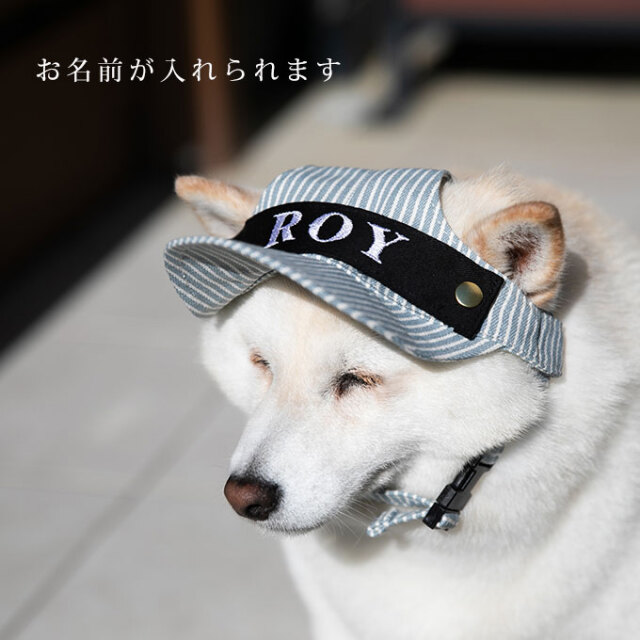 ペット用 帽子