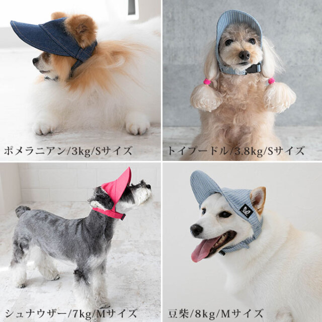 ペット用 帽子