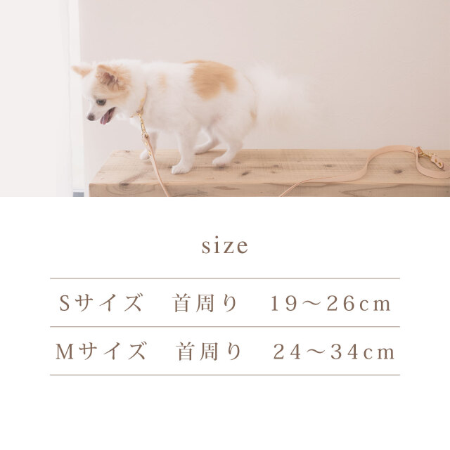 犬 首輪 レザー 名入れ