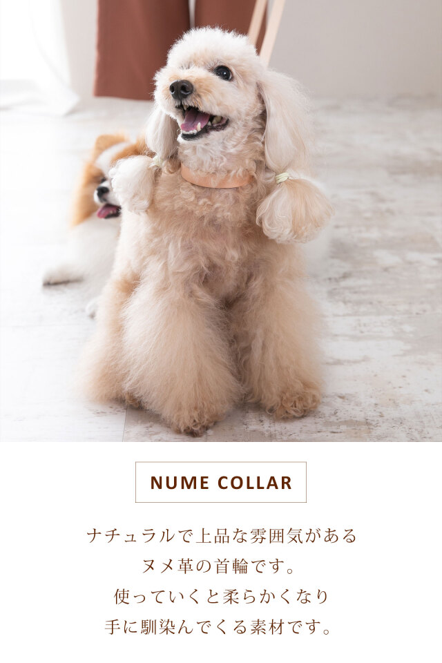 犬 首輪 レザー 名入れ