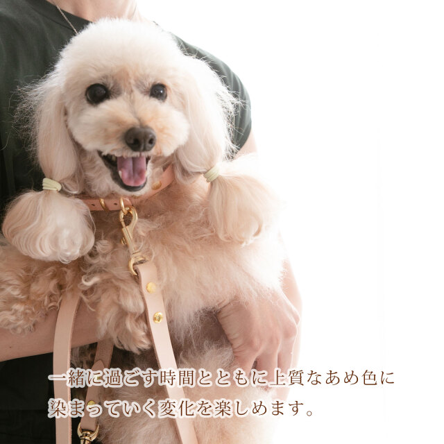 犬 首輪 レザー 名入れ