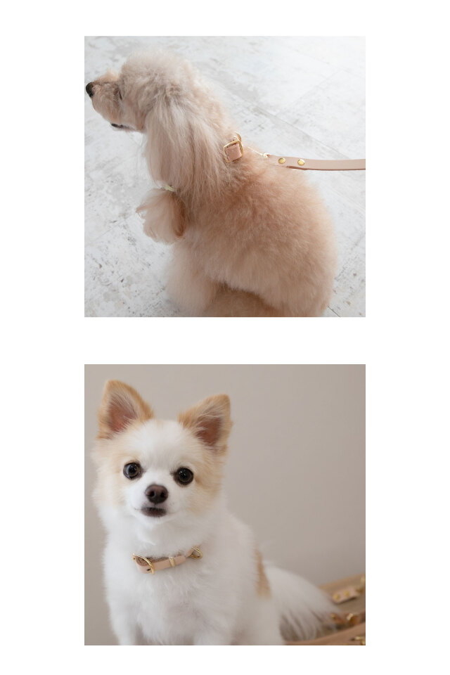 犬 首輪 レザー 名入れ