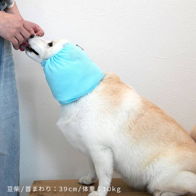 撥水メッシュ耳カバー