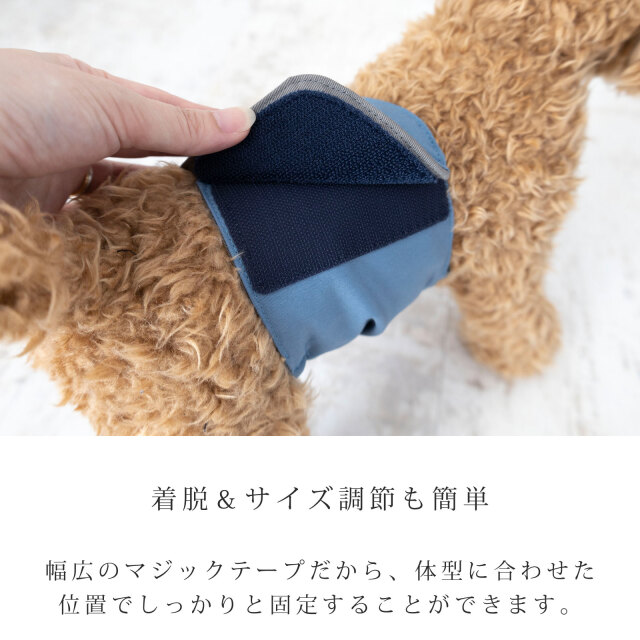 名入れ無料 犬 マナーベルト マナーウェア マナーバンド 小型犬 中型犬