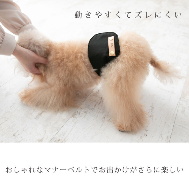 名入れ無料 犬 マナーベルト マナーウェア マナーバンド 小型犬 中型犬