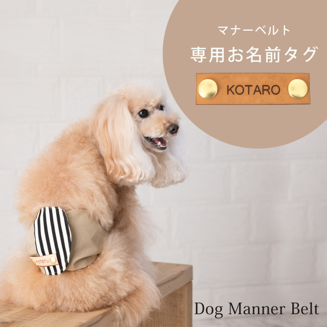 マナーベルト専用お名前タグ