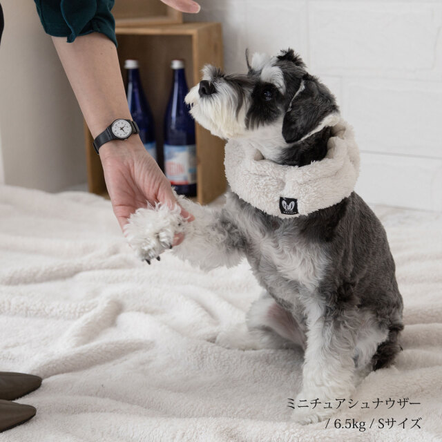 ☆専用☆〖美品〗テレサカンビ スヌード 犬 ネックウォーマー ベージュ 完売 セール】ネックウォーマー M/小型犬（その他ペットグッズ