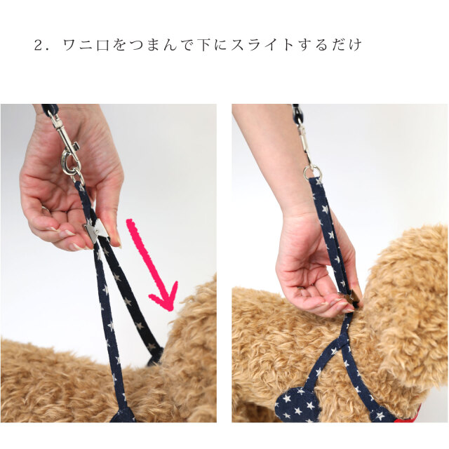 犬 ハーネス リード セット
