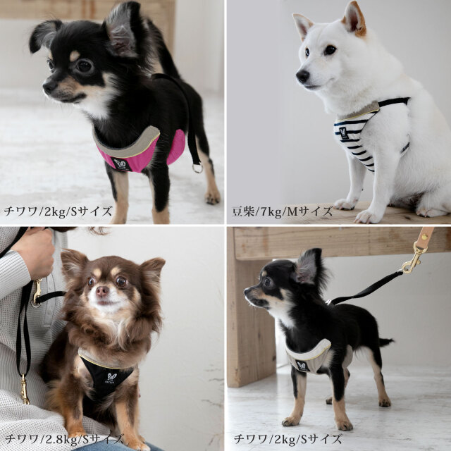 小型犬 ハーネス Ashu ウェアハーネスボーダー リードセットs 送料無料 老犬 子犬にも痛くない 犬ハーネス ペット用品 ドッグ トイプードル チワワ おしゃれ 犬用ハーネス 散歩用リード 高齢犬 シニア お散歩 アッシュ 服の上から 帝塚山ハウンドカム 矢嶋ashu 小型犬 ハーネス Ashu ウェアハーネスボーダー リードセットs 送料無料 老犬 子犬にも痛くない 犬ハーネス ペット用品 ドッグ トイプードル チワワ おしゃれ 犬用ハーネス 散歩用リード 高齢犬 シニア お散歩 アッシュ 服の上から 帝塚山ハウンドカム 矢嶋ashu