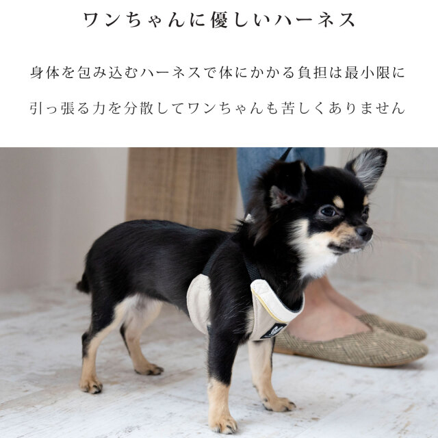 犬 ハーネス リード セット