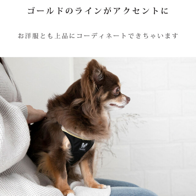 犬 ハーネス リード セット