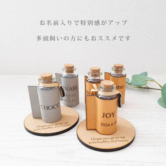 ペット 名入れ 乳歯ケース