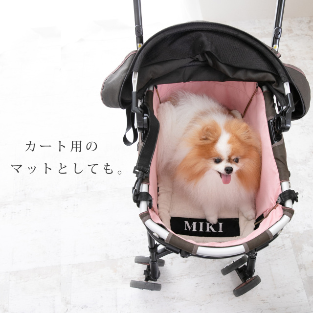 オールシーズン キャリー用マット