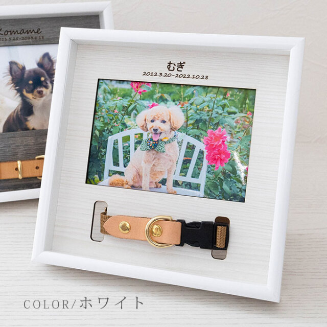 首輪も飾れる ペット メモリアルフォトフレーム 名入れ オリジナル