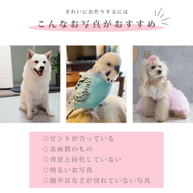 ペット 写真 クッションキーホルダー