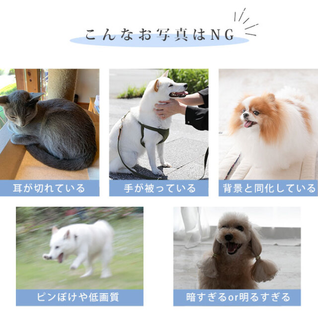 ペット 写真 クッションキーホルダー