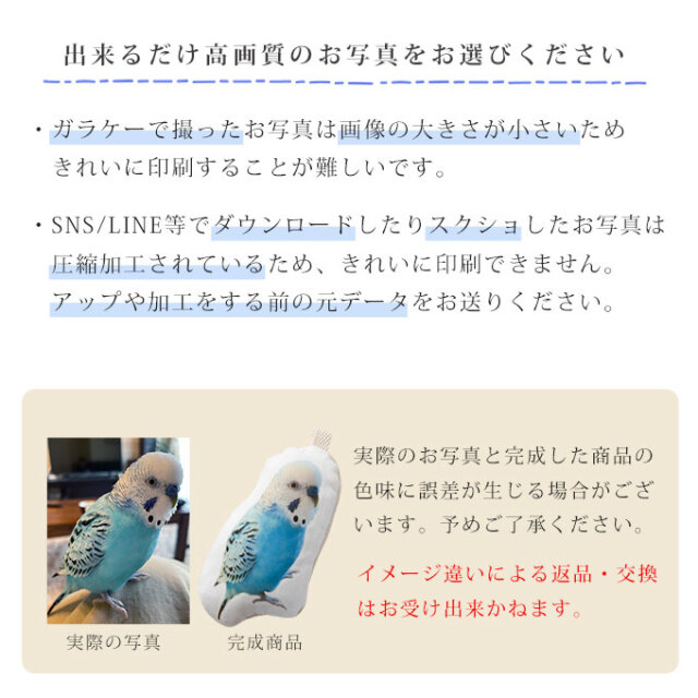 ペット 写真 クッションキーホルダー