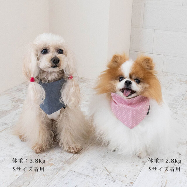 日本製 ペット用 スタイ よだれかけ 汚れ防止 食事 散歩 お出かけ