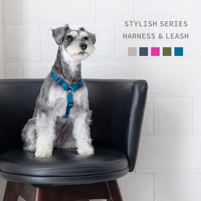 スタイリッシュハーネス リード