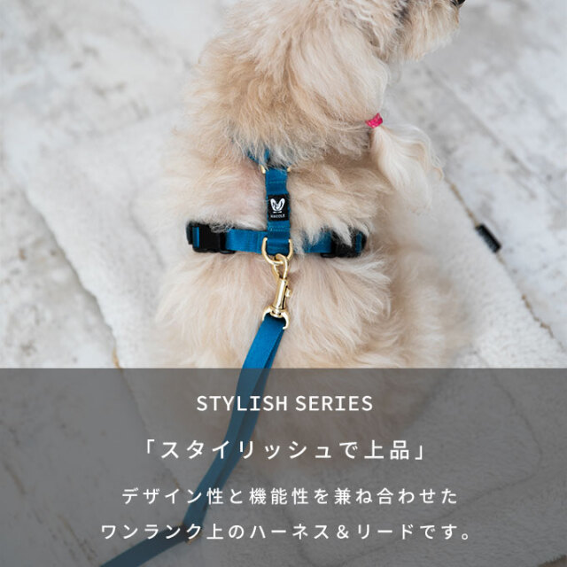 スタイリッシュハーネス リード