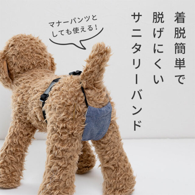 ペット サニタリーバンド