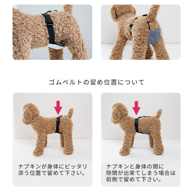 ペット サニタリーバンド
