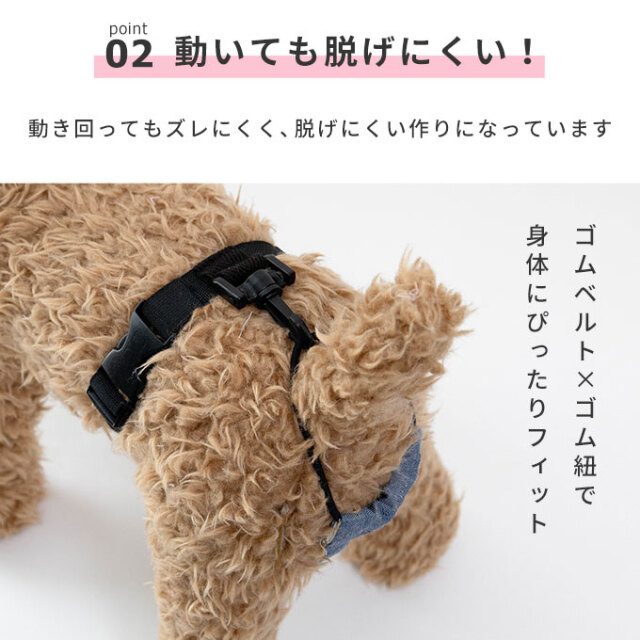 ペット サニタリーバンド
