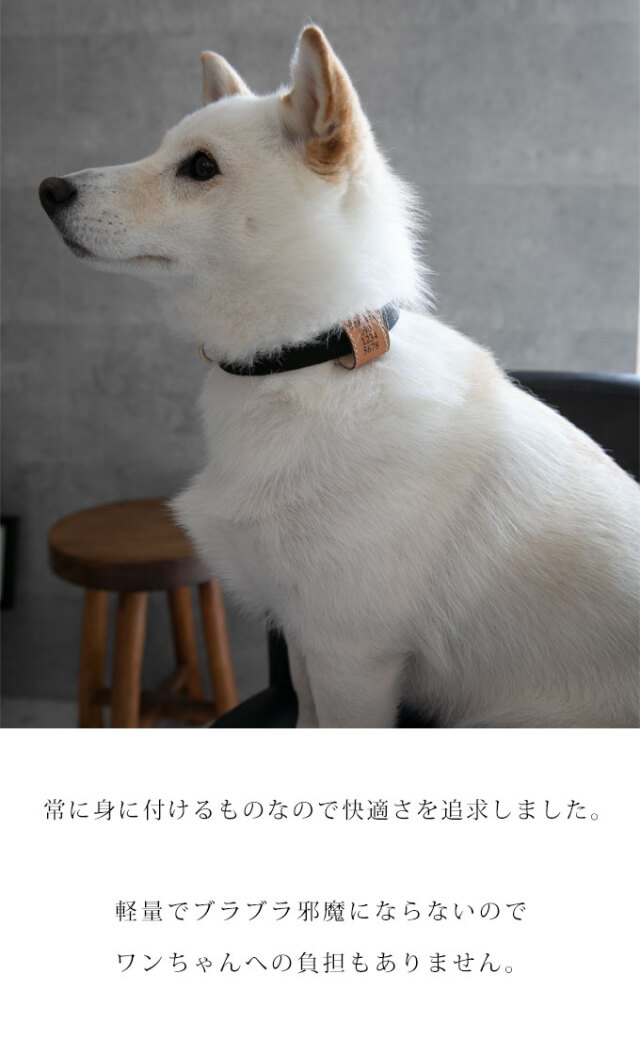 犬 ペット 迷子札