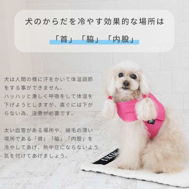 日本製】 【特許申請済み】 クールベルト ペット 犬 夏 暑さ対策 熱中