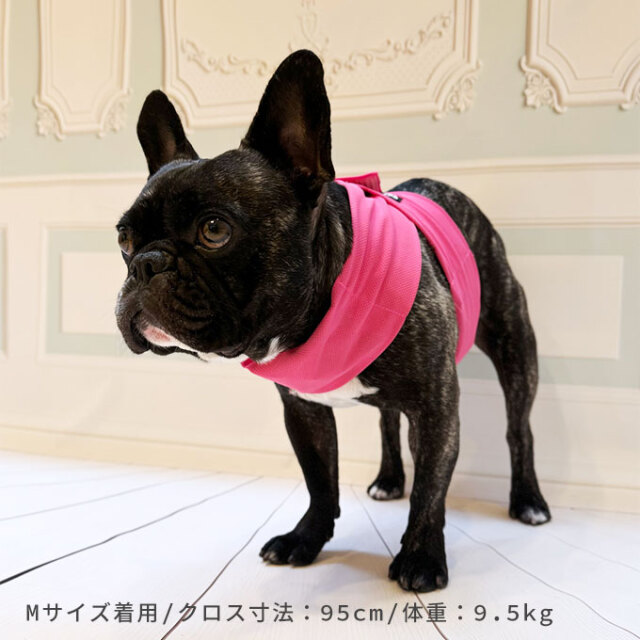 ペット ひんやり クールベルト