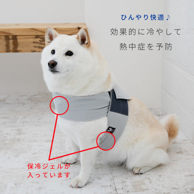 日本製】 【特許申請済み】 クールベルト ペット 犬 夏 暑さ対策 熱中