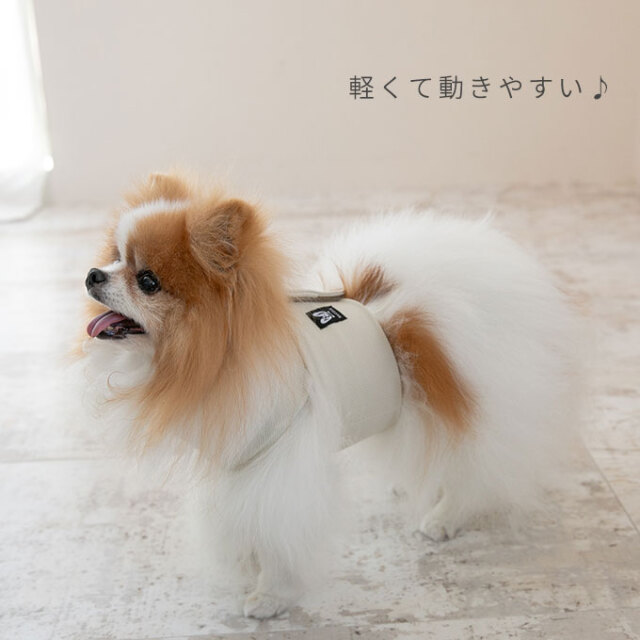 ペット ひんやり クールベルト
