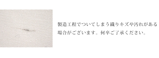 クレンゼ 生地 抗菌 抗ウイルス マスク ファムベリー