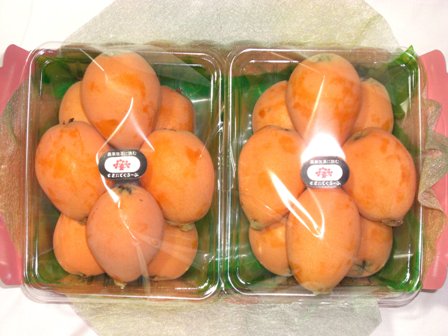 希少！黄色いダイヤ！鹿児島県産大玉高免びわ（2パック入り）！！