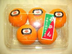 太陽の恵み！愛知県蒲郡産温室みかん！（5～6個入り）