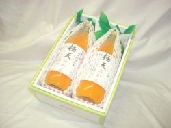 極天みかんジュース