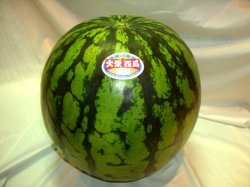 大栄西瓜