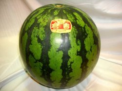 倉吉西瓜