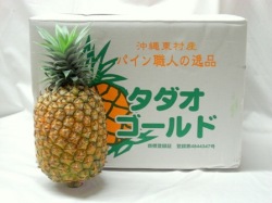 希少！期間限定！沖縄県玉城農園産 幻の高糖度大玉パイナップル