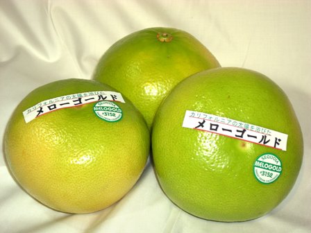 メローゴールド