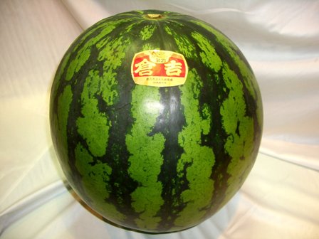 倉吉西瓜
