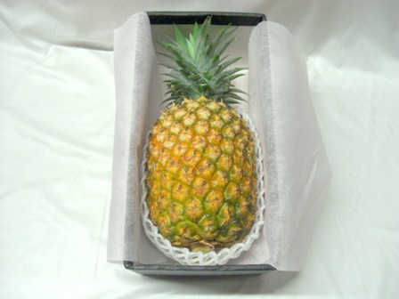 タダオゴールドバレル